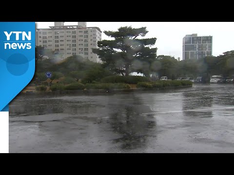 [날씨] 한낮 포근...밤사이 전국 비 내린 뒤 반짝 추위 / YTN