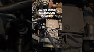 A6 C5 Mal eben das Thermostat wechseln😂 #a6 #c5 # audi #Schrauben #liebe