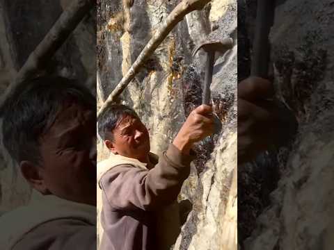 Shilajit Extraction From Nepal Shilajit Hunting Tour Premium Grade Shilajit