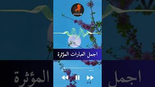 كلام عن الحياة البسيطة