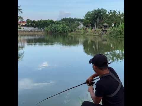 1 ngày lure dạo cùng team Lk