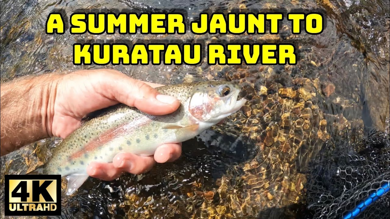 A summer jaunt to Kuratau River - YouTube