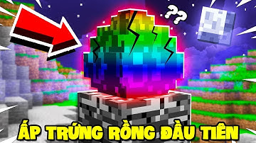 MINECRAFT KỴ SĨ RỒNG 2 - TẬP 2 | ẤP TRỨNG RỒNG NGUYÊN TỐ ĐẦU TIÊN VÀ KHÁM PHÁ THẾ GIỚI CỦA LOÀI RỒNG
