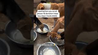 Donate please @krjsln @ashleighirving1182 @michelleperrott4147 @KattrinaPhalen-g7e @lynnwallis8654 Donate please @krjsln @ashleighirving1182 @michelleperrott4147 @KattrinaPhalen-g7e @lynnwallis8654