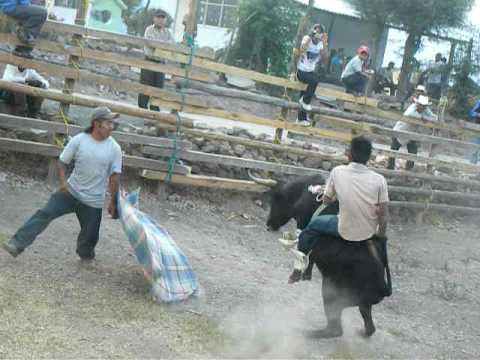 Salvador La Revancha