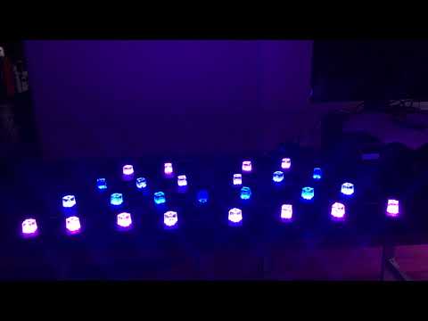 ゲスト演出：カクテルライト