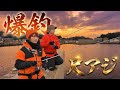 【尺アジ爆釣】鯵の神様と並んで釣りしたら、ひたすら尺アジ釣れちゃってるぅ‼️