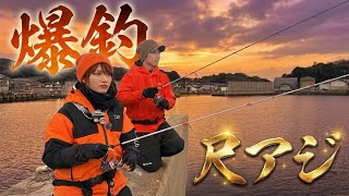 【尺アジ爆釣】鯵の神様と並んで釣りしたら、ひたすら尺アジ釣れちゃってるぅ‼️