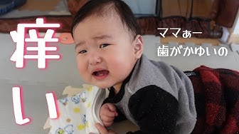 歯固め Youtube
