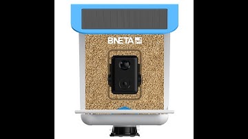 BNETA BF002 Smart AI Bird Feeder