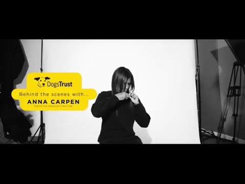 dogs trust ad song