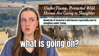 Wild Horses are Going to Slaughter?
