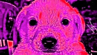 por cada día que pasa el apocalipsis deja de ser un miedo y se torna una esperanza