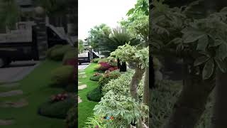 Taman samping rumah dengan konsep minimalis tropis 🍃 Taman samping rumah dengan konsep minimalis tropis 🍃