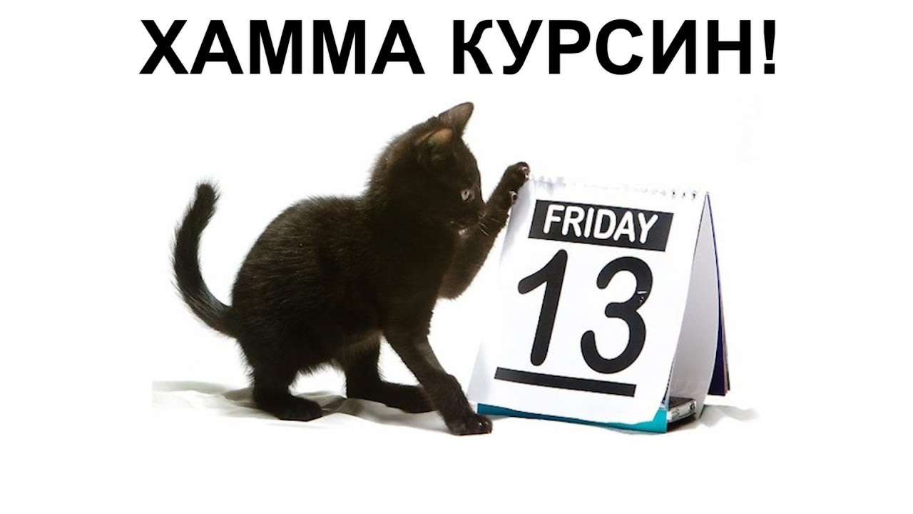 Авто рақам танлаш