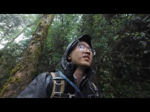 Esse acampamento me testou | Vlog 24