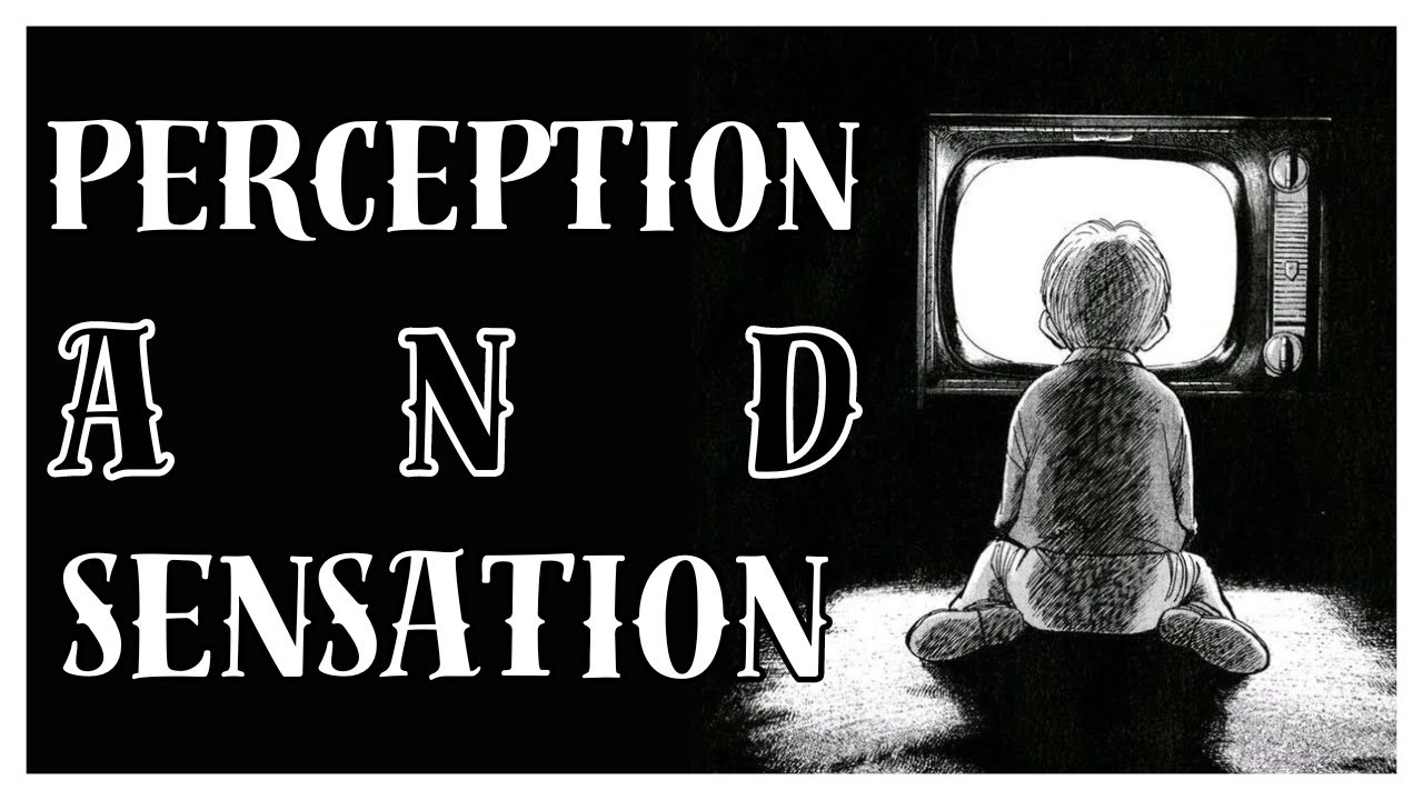 Principles of Psychology || Perception And Sensation - YouTube