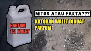 MITOS ATAU FAKTA???KOTORAN WALET SEBAGAI PARFUM
