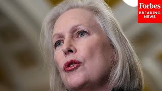 Platforms Do Nothing To Warn About This Kirsten Gillibrand Demands More Transparency About Ai