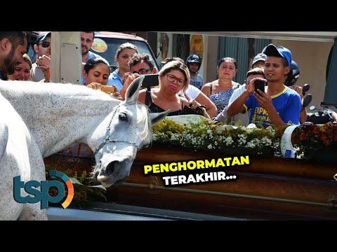 Video: Jurugambar Luar Berkata Selamat Tinggal Kepada Anjingnya Dalam Video Yang Sangat Menyentuh