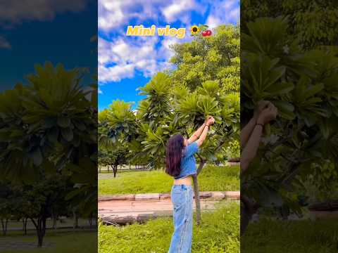 # #minivlog #trending #vlog #lifeisbutadream #dailyvlog #daily