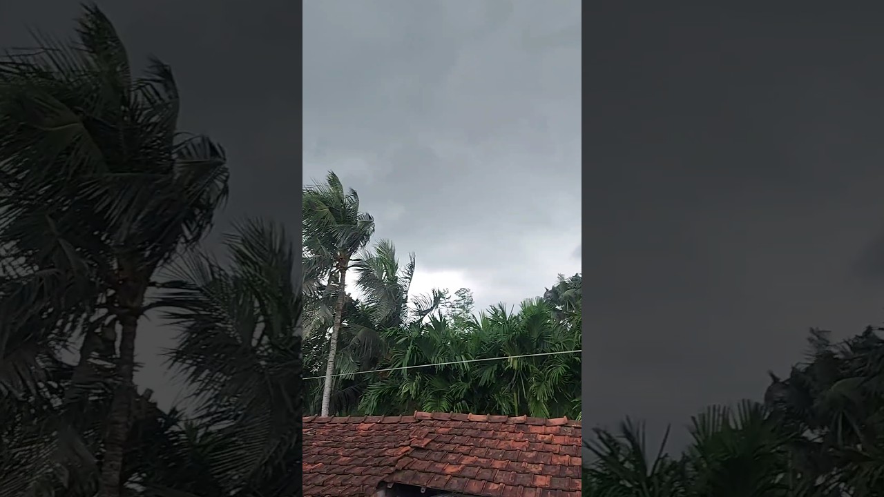 Cyclone Monta ☔💦