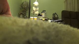 i am showing what promedica my chart says after my surgery