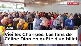 Vieilles Charrues. La course aux billets des fans de Céline Dion