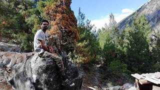 Tracking toward fairy meadows-singing-Gilgit Pakistan 8/14