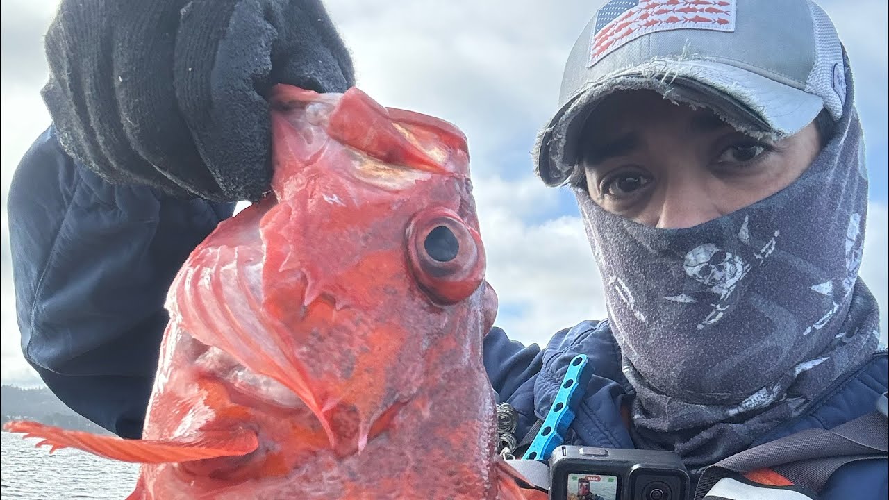 ROCKFISH AND Kayak fishing Monterey bay. YouTube