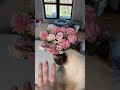 If you have cats please please dont bring bouquets into your house u...