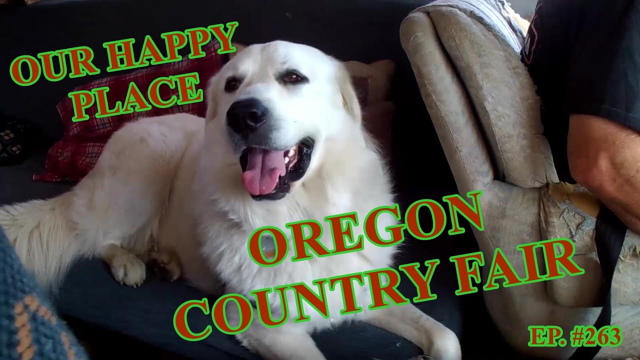 The Frank Files REVISITING OUR HAPPY PLACE OREGON COUNTRY FAIR 