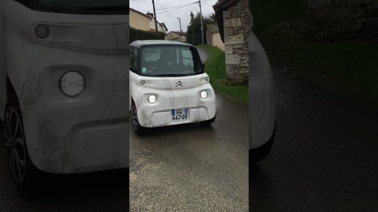 Our unique electric Citroën Ami was hand-painted by Pete Davies in his signature marbleised finish.