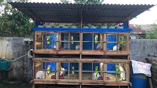 Wooden Rabbit Cage Inspiration Worth Trying