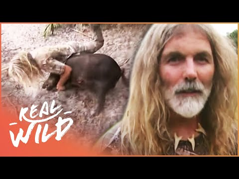 Man Gets Attacked By Dangerous Wild Boar | Savage Wild | Real Wild