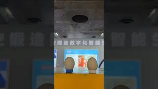 Shengde Servo Direct Drive Screw Press, Accuracy to mm Grade.