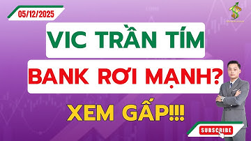 VIC Trần Tím – Bank Rơi Mạnh? XEM GẤP!!! Chuyện Gì Đang Xảy Ra? | Phân Tích | Chứng Khoán Hôm Nay
