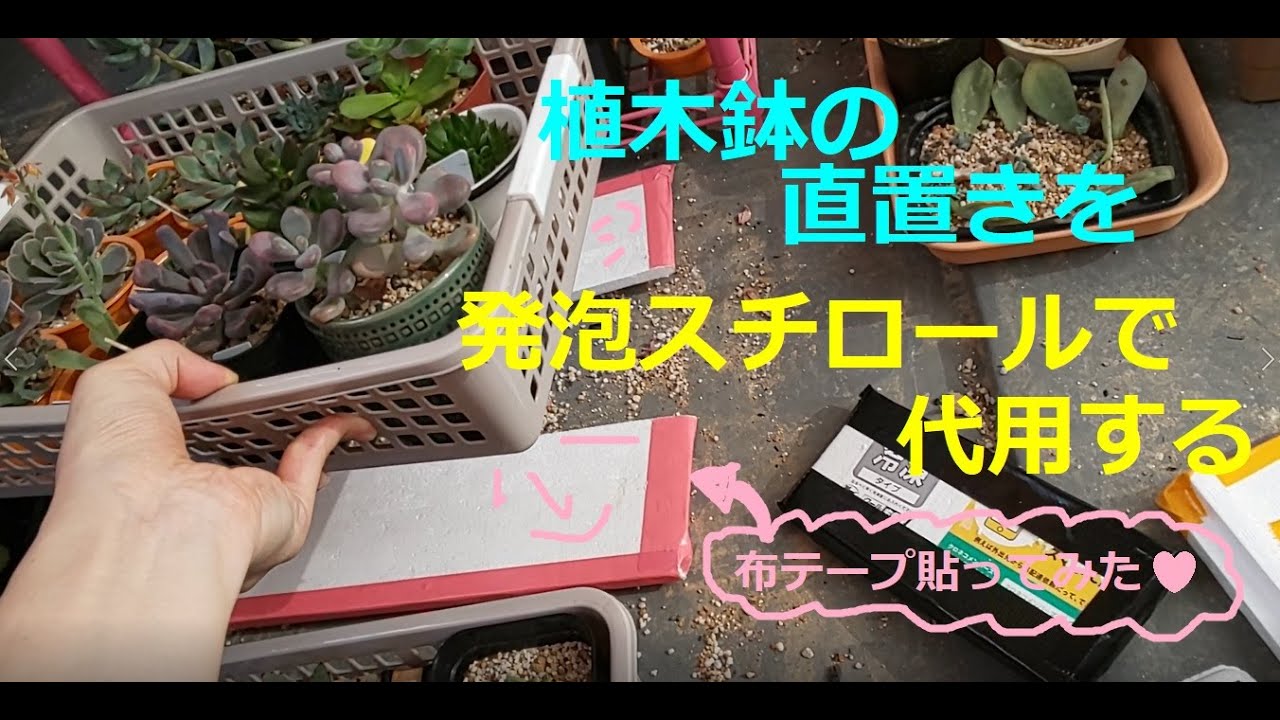 植木鉢の直置きを防ぐやつを発泡スチロールで代用してみる 多肉植物 0802 Succulent Plant Youtube