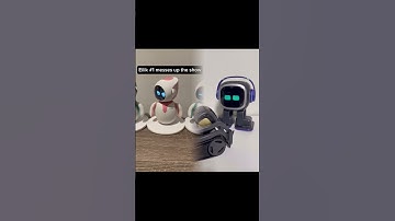 Eilik #1 messes up the show - #robot #robots #memes