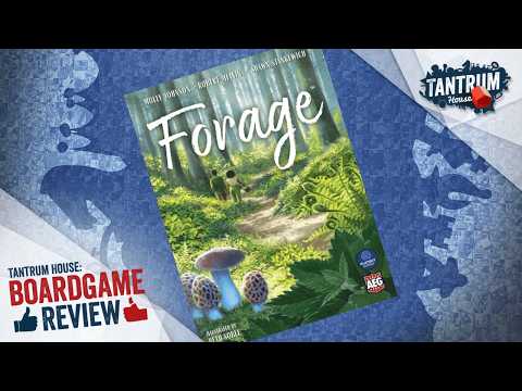 Forage Board Game Review