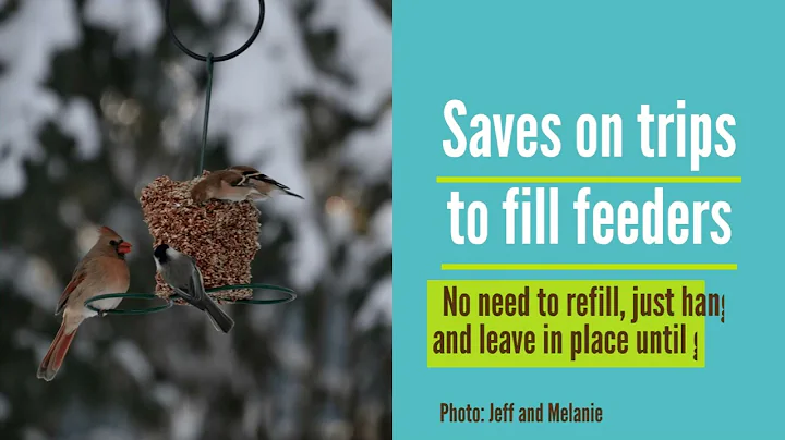 Seed Cylinders & Cakes Offer Long-Lasting, Less-Mess Feeding