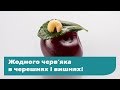 Надійна обробка проти вишневої мухи. Вишні без черв’яків.