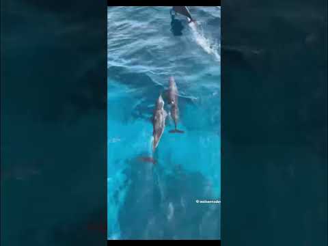 الحلقة 2 من روية ملحمة البحور سبعة الخوف الملعون