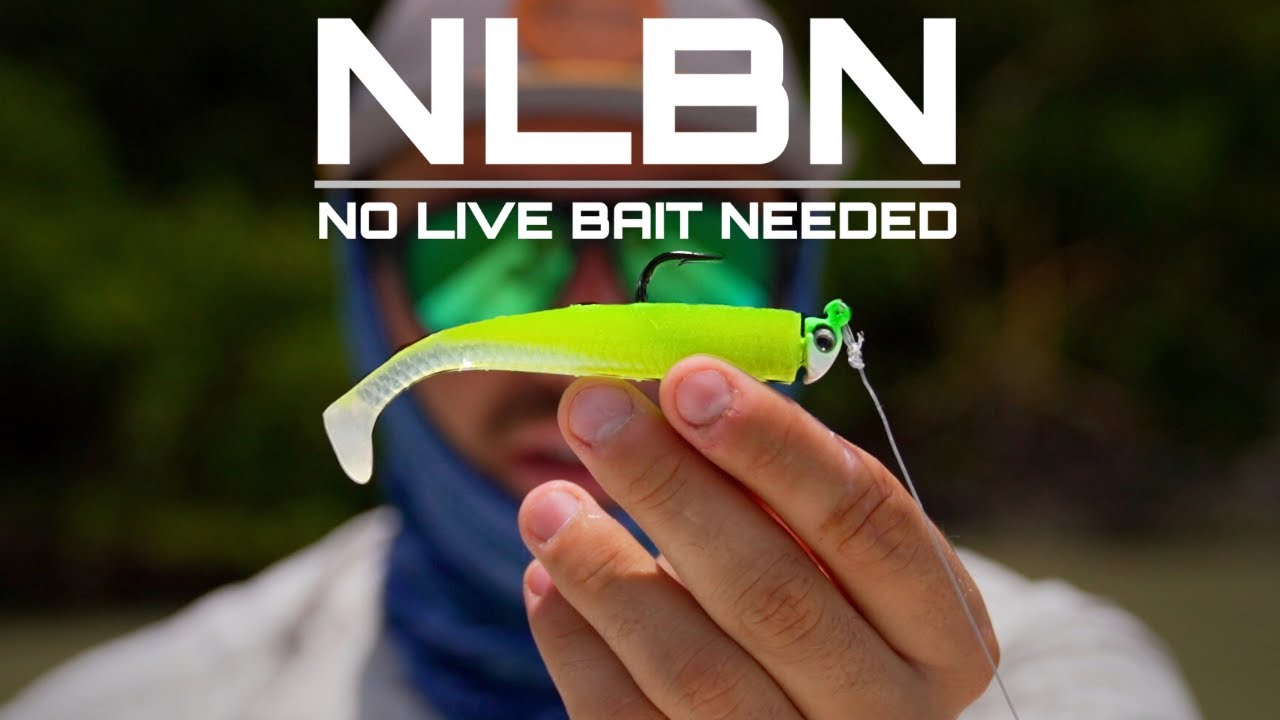 Lnb Fish Testing NEW NLBN Swimbaits on the Florida Coast - YouTube