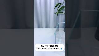 Turn An Empty Tank Into a Peaceful Aquarium | Simple Fish Tank Setup for Beginners