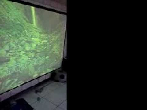鄭景中 灰色軌跡