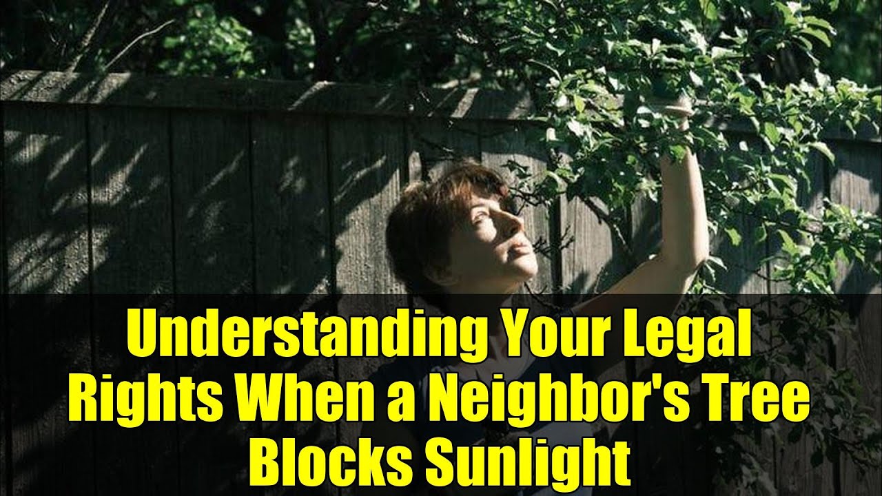 Understanding Your Legal Rights When a Neighbor's Tree Blocks Sunlight