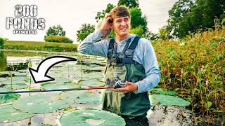 Fishing IN THE POND For Hot Summer Bass! ("200 Ponds" Ep. 53)