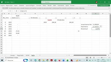 Parâmetro para analisar a lucratividade da Carteira Automática (Excel) 16