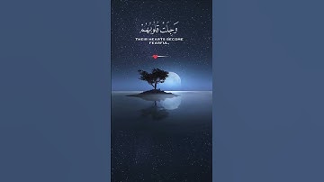 #القران_الكريم #اكسبلور #القزابري #foryou #لايك #المصحف #تلاوه_خاشعه #تيك_توك #الرحمن #ترند